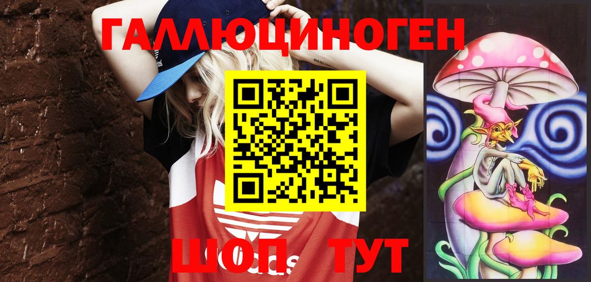 Галлюциногенные грибы Psilocybe Сунжа