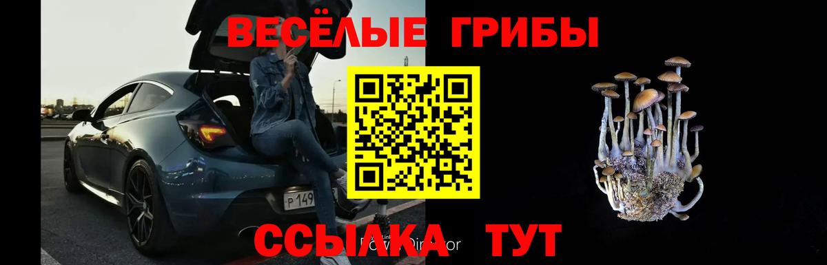 где можно купить наркотик  Вход с VPN  Сунжа  Галлюциногенные грибы MAGIC MUSHROOMS 