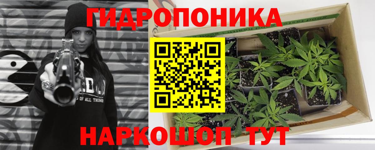 МАРИХУАНА индика Сунжа