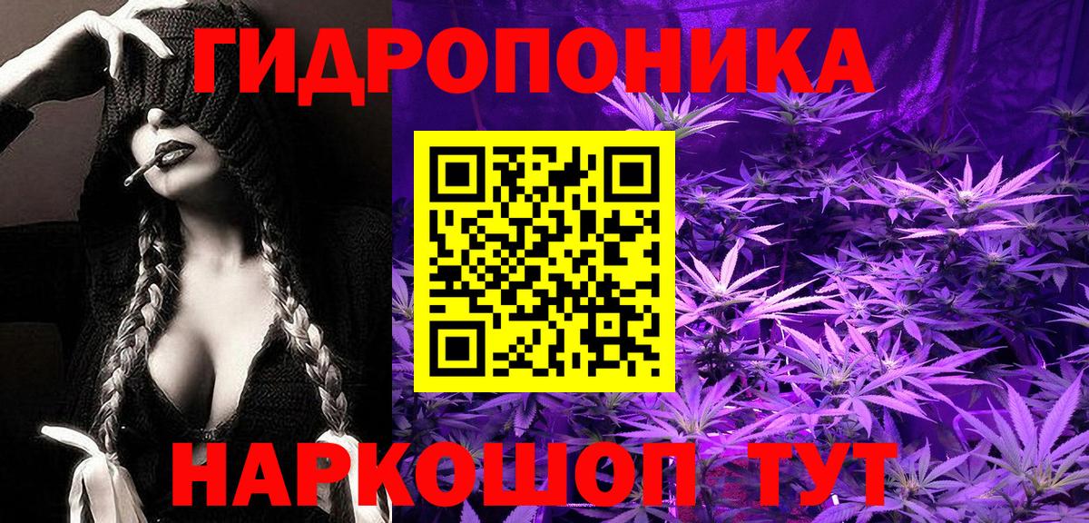 Бошки Шишки SATIVA & INDICA  Вход с VPN  Сунжа  Конопля THC 21%  Канабис LSD WEED 